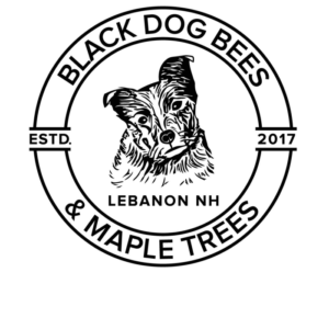 Black Dog Bees & Maple Trees