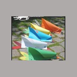 June 28 - Bird Kites