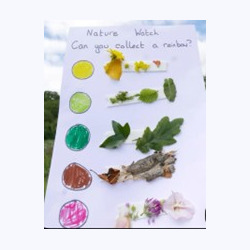 July 12 - Collect the Rainbow, Nature